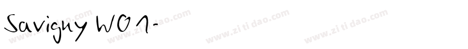 Savigny W01字体转换